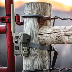 2 caméras Flex-M Vision Infrarouge, 28MP, SIM Préactivée