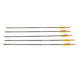 5 flèches 26" pour tous types d'arcs fibre de verre HQ 68cm