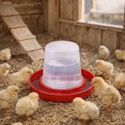 Abreuvoir 350 ml pour poussins compatible cages Cimuka