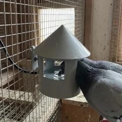 Abreuvoir automatique à grit pour pigeon Diam. 22