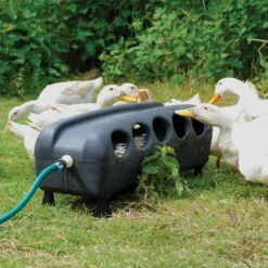 Abreuvoir automatique canards et oies 75 X 25 X 27 cm