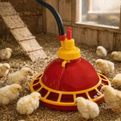 Abreuvoir automatique poussins/cailles à suspendre
