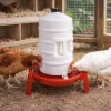 Abreuvoir fût plastique 20L avec poignée et pieds - NOVITAL