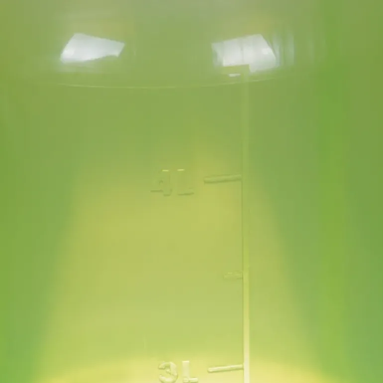Abreuvoir gradué sur pied avec poignée vert 3L
