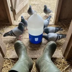 Abreuvoir pigeons siphoïde à poignée 5 L
