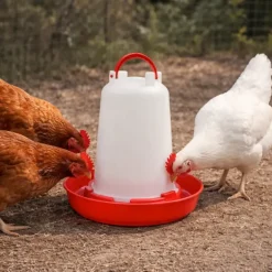 Abreuvoir plastique poule 1,5 L premium robuste avec poignée