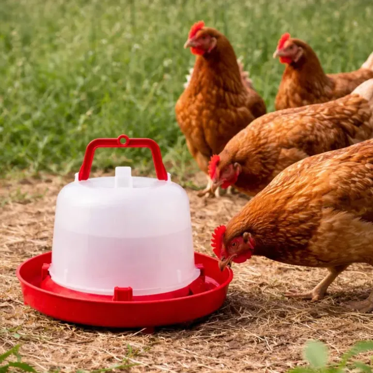 Abreuvoir plastique poule premium robuste avec poignée 5 L