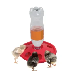 Abreuvoir porte bouteille pour poussins et cailles Diamètre 24 cm OLBA