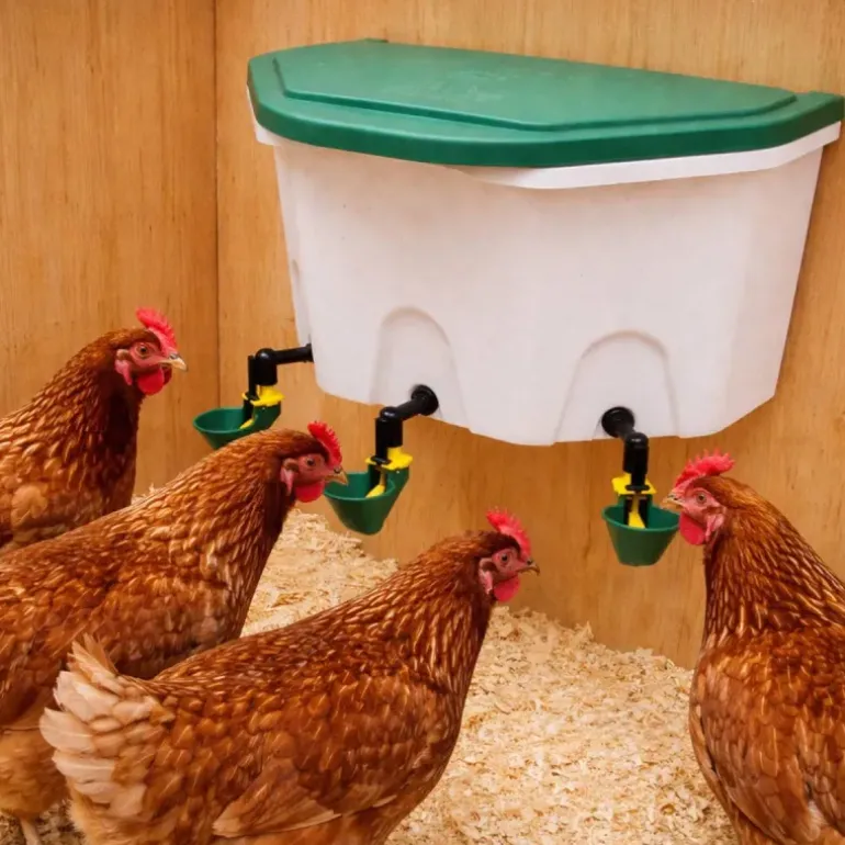 Abreuvoir poule automatique Aviaqua 8L à coupelles avec flotteur