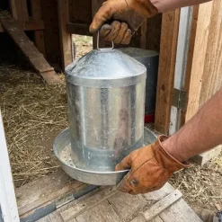 Abreuvoir poules à double paroi tôle galvanisée Gaun 12L
