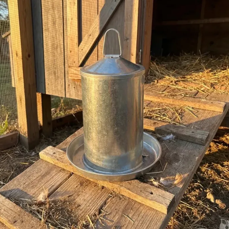 Abreuvoir Poules à Double Paroi en Tôle Galvanisée de 4 L