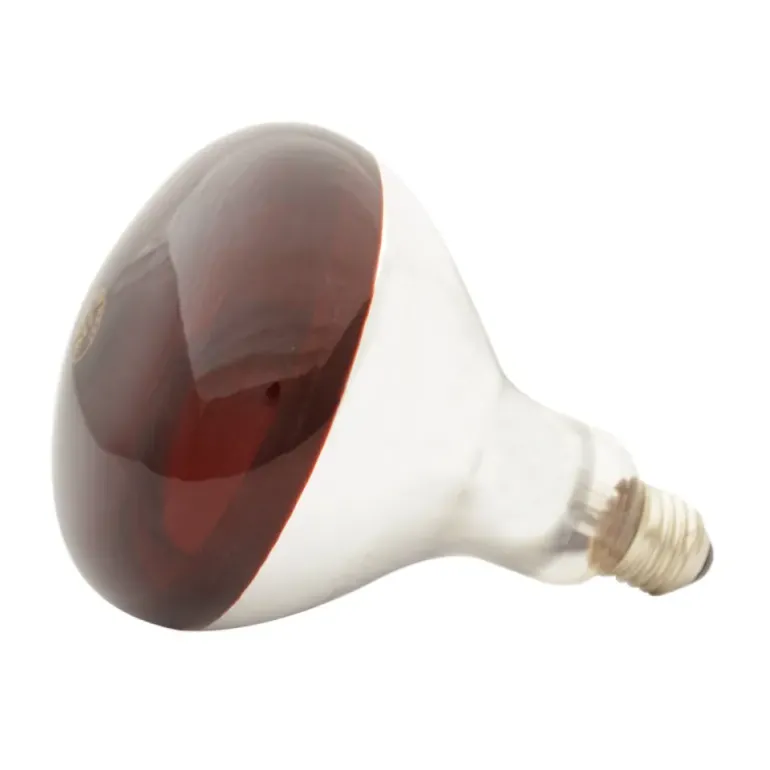 Ampoule chauffante infrarouge 250 W