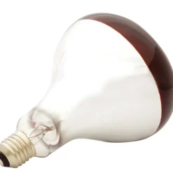 Ampoule infrarouge pour éleveuse 60 W