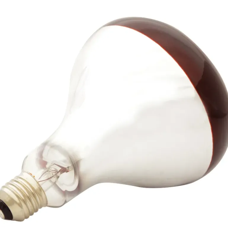 Ampoule infrarouge pour éleveuse 100 W