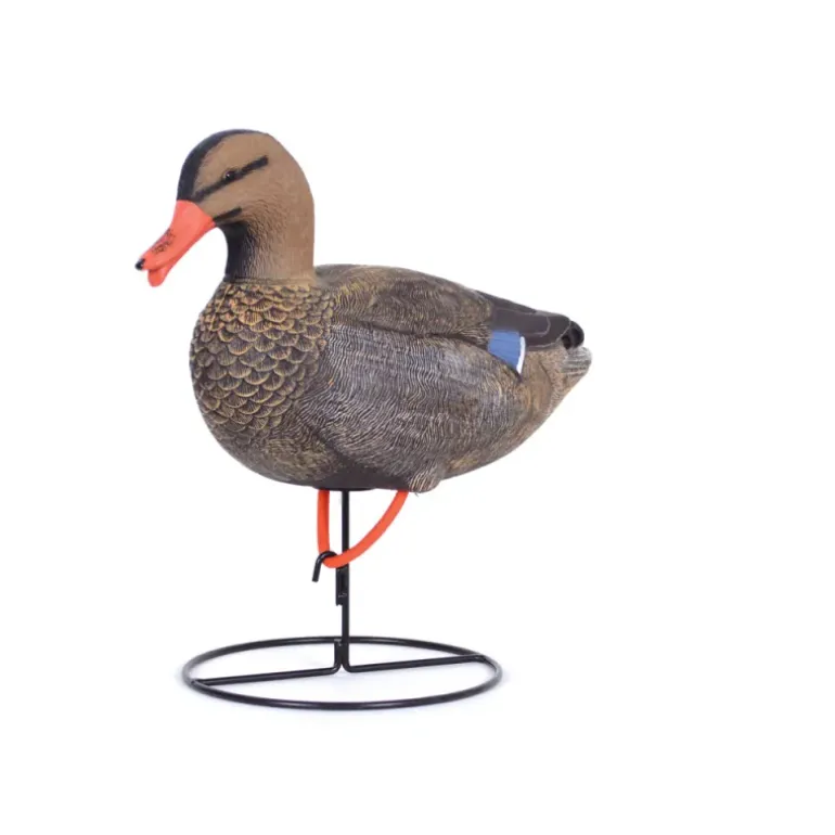 Appelant colvert femelle cou droit sur pied en acier