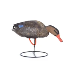 Appelant colvert femelle mangeur sur pied en acier