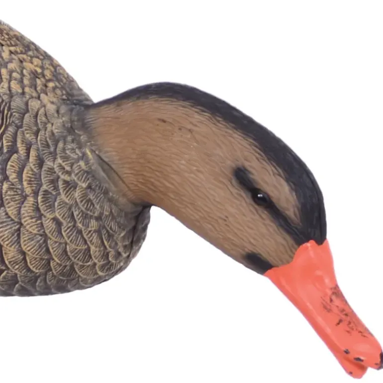 Appelant colvert femelle mangeur sur pied en acier
