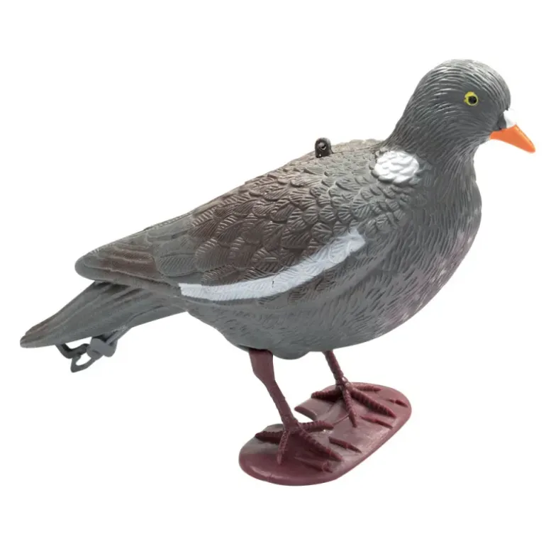 Appelant Pigeon au posé à l'unité