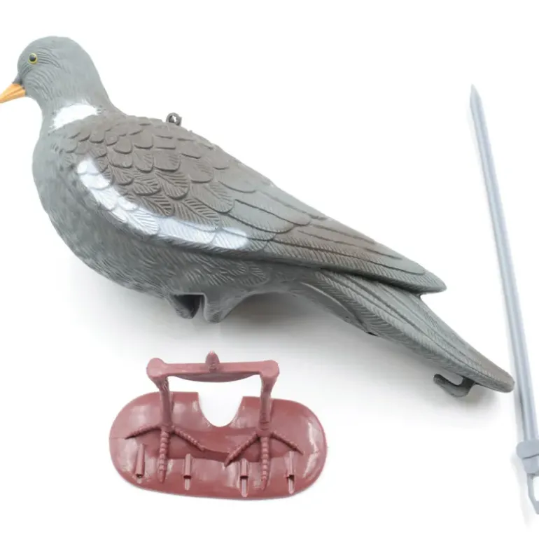 Appelant Pigeon au posé à l'unité
