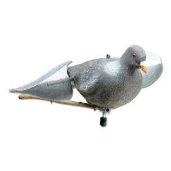 Appelant pigeon floqué à ailes tournantes
