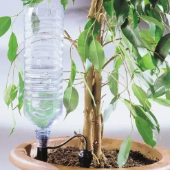 Arrosage goutte à goutte bouteille