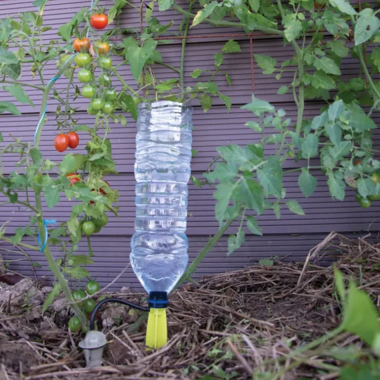Arrosage goutte à goutte bouteille