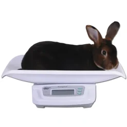 Balance à lapin 20kg