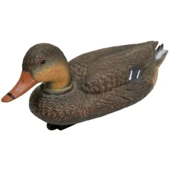 Blette de Colvert femelle ultra réaliste en plastique