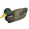 Blette de Colvert male ultra réaliste en plastique