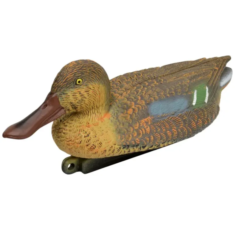 Blette de Souchet femelle réaliste