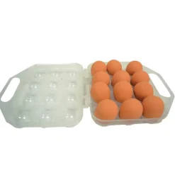 Boite à oeuf plastique 12 oeufs à l'unité
