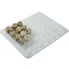 Boites à oeufs de caille plastique 18 oeufs lot de 500