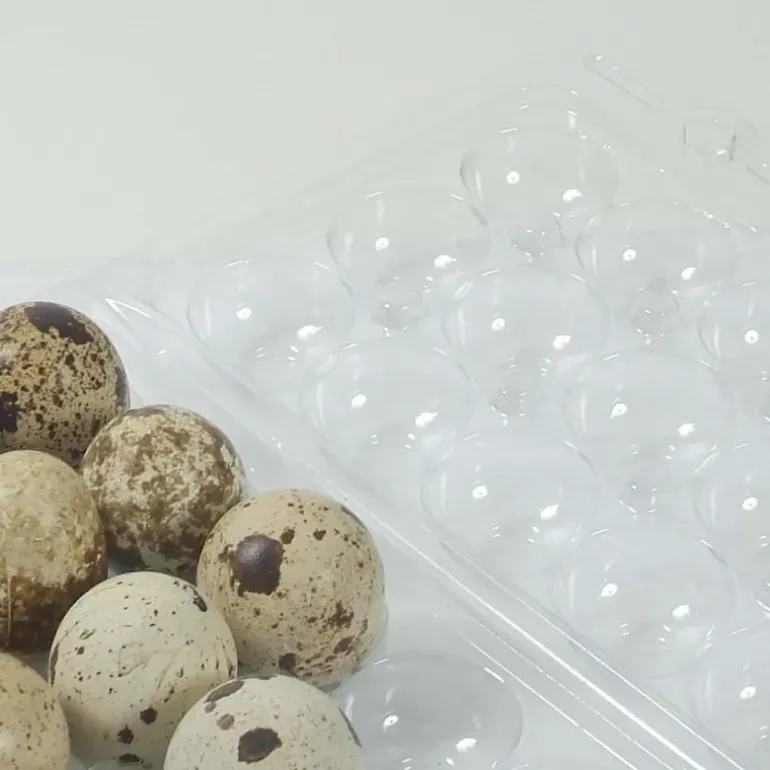 Boites à oeufs de caille plastique 18 oeufs lot de 500
