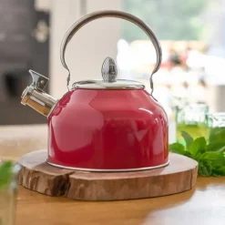 Bouilloire à sifflet 2,5L induction tous feux épaisseur 0,35mm