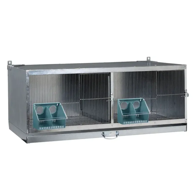 Cage d'élevage pour pigeons métal galvanisé