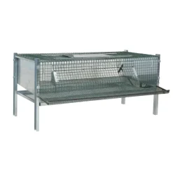 Cage en maille galvanisée pour cailles pondeuses (mini)