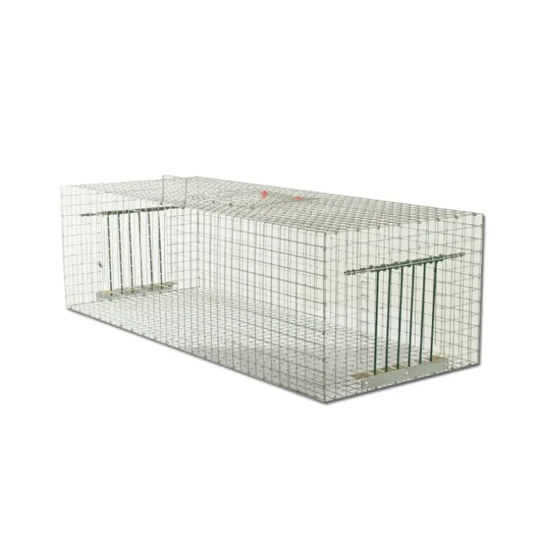 Cage piège à pigeon 100 x 40 x 30 cm