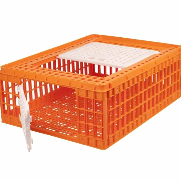 Cage transport démontable volatiles et rongeurs 77x58x29cm