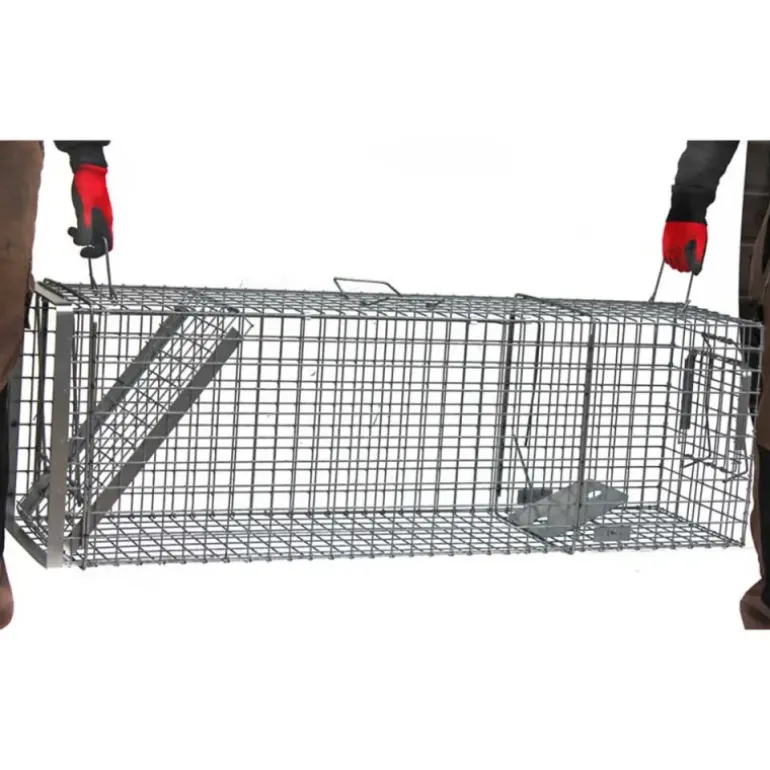 Cage-piège Hardy 3 ressorts trappe 60° 120x34x42cm