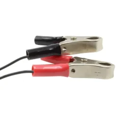 Chargeur de batterie 6V/12V