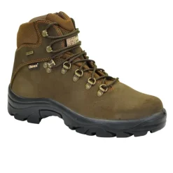Chaussures Pointer Gore-tex cuir marron + sac chaussures 36 à 47