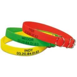 Collier à graver dans la masse PVC 60 X 2,5cm 3 couleurs ajustable