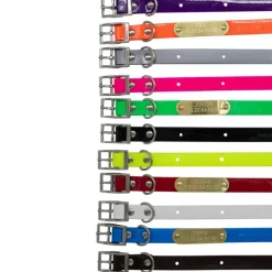 Collier à graver sur plaque BIOGOLD petit chien et chiot 11 couleurs