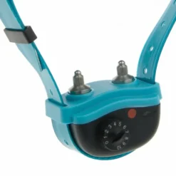 Collier anti-aboiement pour chien à fort caractère "Canicalm Excel"
