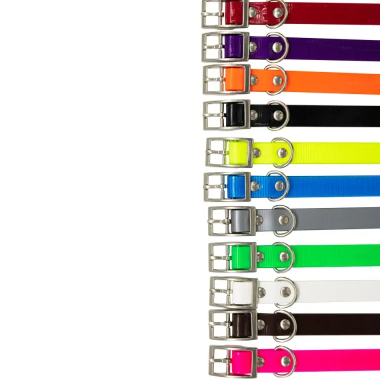 Collier Biogold petit chien ou chiot 3 couleurs