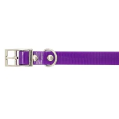 Collier Biogold petit chien ou chiot 3 couleurs