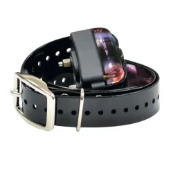 Collier de dressage DT-2000