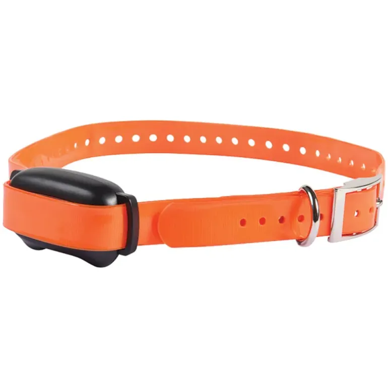 Collier de dressage ProHunt 600 m étanche et rechargeable