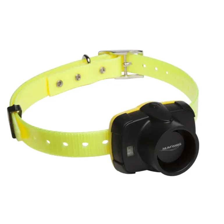 Collier de repérage sonore Canibeep 5