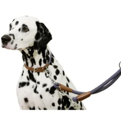 Collier pour chien en corde 40 - 55 cm